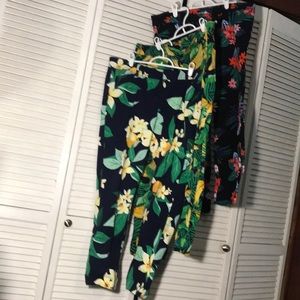 Old Navy Pixie Pants Bundle x3 Green Florals SZ 14